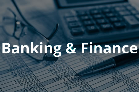 CyberCXO Banking and Finance